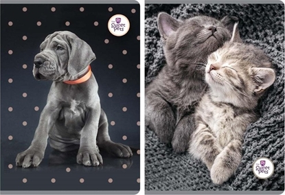 Attēls no Beniamin Zeszyt A5/60K linia The Sweet Pets (5szt)