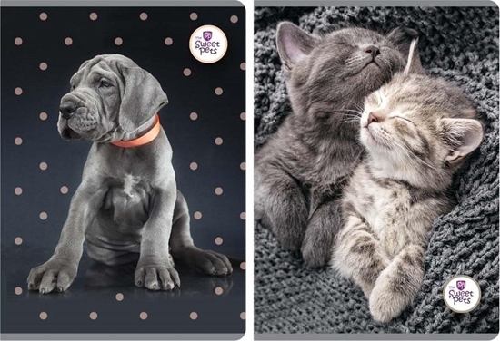 Picture of Beniamin Zeszyt A5/60K linia The Sweet Pets (5szt)