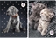 Attēls no Beniamin Zeszyt A5/60K linia The Sweet Pets (5szt)