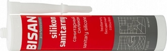 Picture of Bisan SILIKON SANITARNY BEZBARWNY 300ML (KARTUSZ) [12]