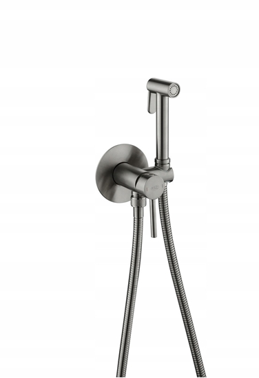 Изображение Blue Water concealed bidet mixer Boston graphite color BOS-BBP.040