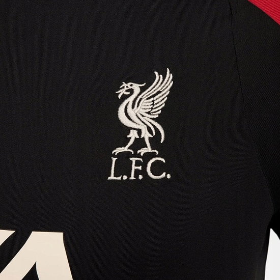 Picture of Bluza Nike Liverpool FC Strike Drill Top FN9819-013