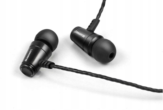 Picture of Brainwavz M100