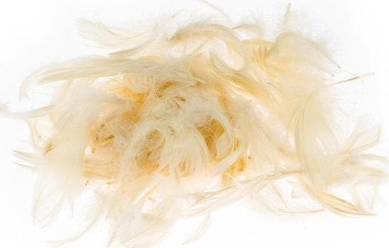 Изображение BREWIS Pirka 7g /P7-2/ ecrue