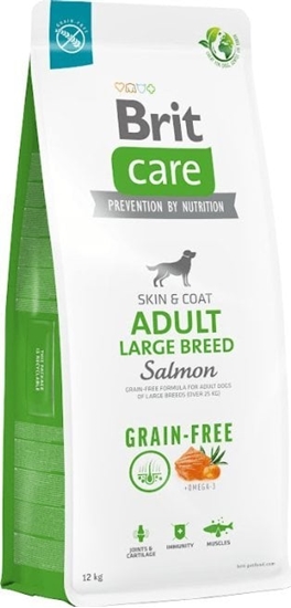 Picture of Brit BRIT CARE Dog Grain-free Adult Large Breed Salmon 12kg