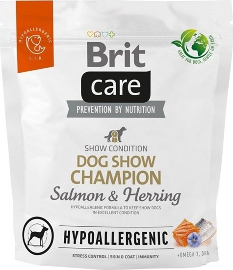 Picture of Brit Brit Care Dog Hypoallergenic Dog Show Champion 1kg