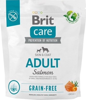 Attēls no Brit Sucha karma dla psa Care Grain-Free Adult Salmon 1 kg