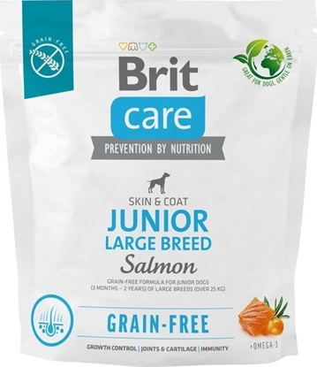 Attēls no Brit Sucha karma dla psa Dog Grain-free Junior Large Breed Salmon 1 kg