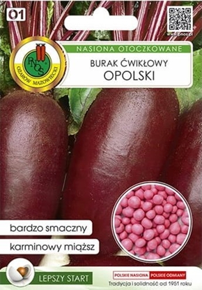 Attēls no Burak wikowy Opolski 100 nasion odmiana plenna o doskonaym smaku