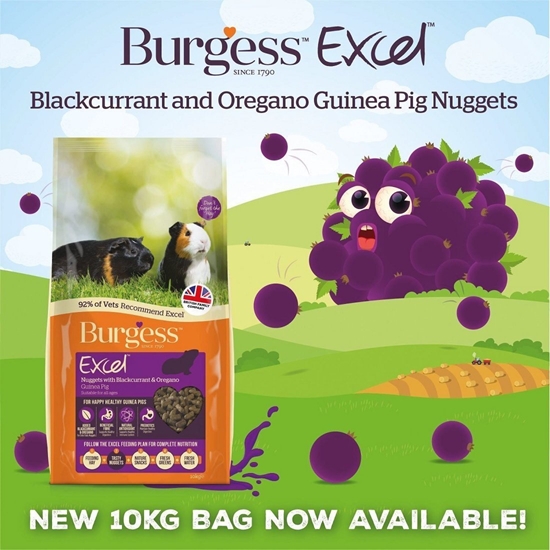 Picture of Burgess Burgess - Guinea Pig Nuggets with Blackcurrant and Oregano - 10 kg (40018)