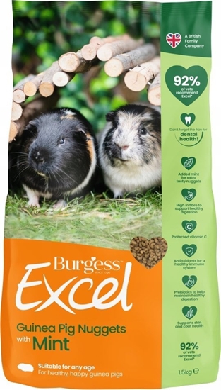 Picture of Burgess Burgess Marsvin nuggets m/mint 1,5 kg.