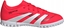 Изображение Buty adidas Predator Club Jr TF ID3805