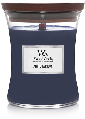 Attēls no CANDLE SCEN ANTIQUARIUM MEDIUM CORE 275G
