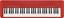 Picture of Casio CASIO CT-S1 RD - Keyboard