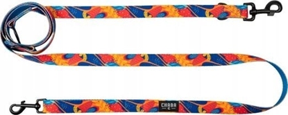 Изображение Chaba CHABA Smycz regulowana Story III M 20mm/260cm Aussie