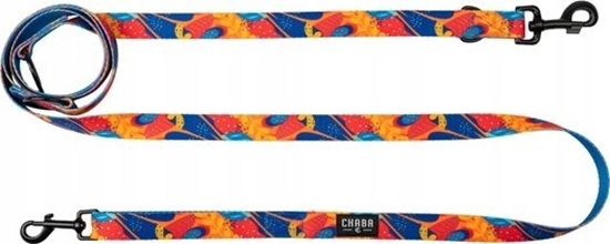 Изображение Chaba CHABA SMYCZ TAMA REG. STORY AUSSIE       ``L`` 2,5x260cm