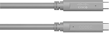 Picture of Kabel USB Cisco USB-C - USB-C 9 m Szary (CAB-USBC-AC-9M=)