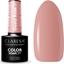 Изображение Claresa Claresa Lakier hybrydowy Dusty Rose 2 - 5 g
