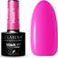 Изображение Claresa CLARESA Lakier hybrydowy NEON 11 -5g