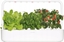 Picture of Click And Grow Click & Grow Smart Garden 9 Pro, white