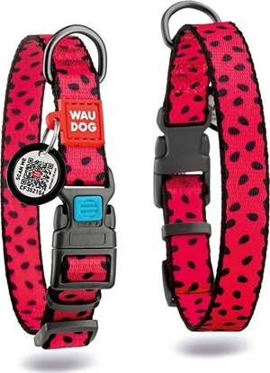Изображение Collar WAU DOG OBROA NYLON Z ADRESÓWK QR       10mm/20-30cm ARBUZ