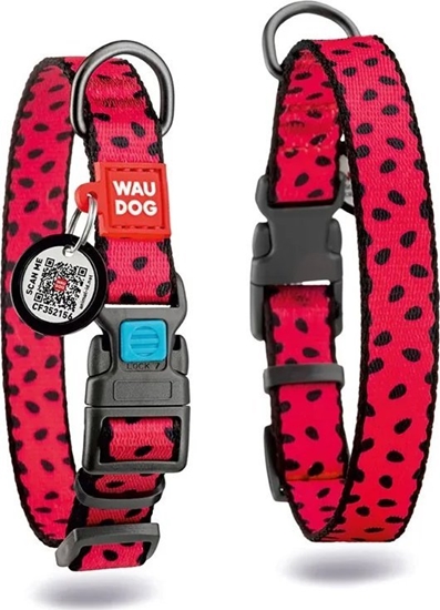 Изображение Collar WAU DOG OBROA NYLON Z ADRESÓWK QR       10mm/20-30cm ARBUZ