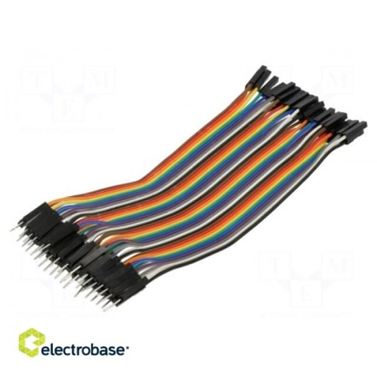 Picture of Connection cable | L: 150mm | male-female | PIN: 40 | mix colours