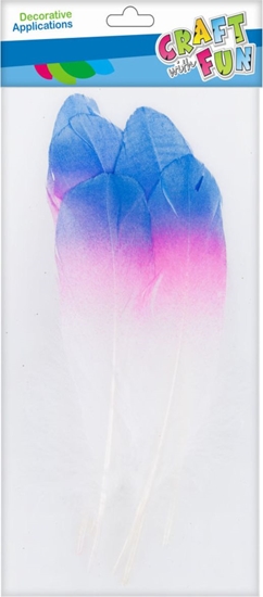 Picture of Craft with Fun CF OZDOBA DEK PIORKA 17-22CM 6SZT TECZA 20/600