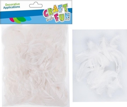 Picture of Craft with Fun CF OZDOBA DEK PIORKA 20-30CM 16G BIEL 12/288