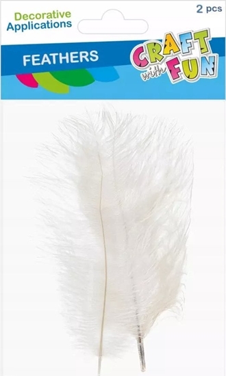 Изображение Craft with Fun OZDOBA DEK PIORKA 15-20CM 2SZT BIALE CF 12/864