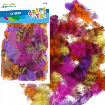 Изображение Craft with Fun OZDOBA DEK PIORKA 2G CENTKI KOL CF PBH 12/288