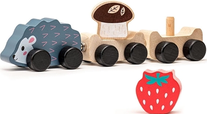 Attēls no Cubika Drewniany pocig z magnesami Mdry jeyk