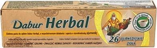 Picture of Dabur Pasta do zbów Dabur Complete Care - 26 ajurwedyjskich zió