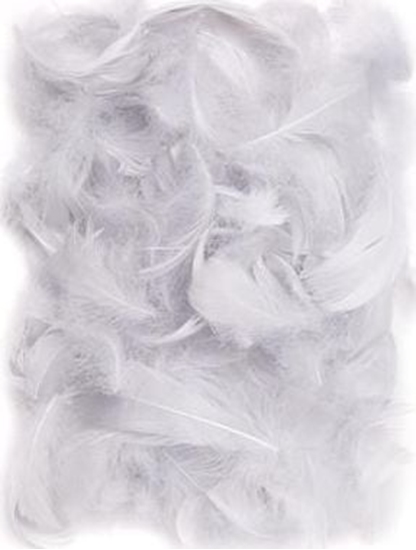Picture of Dalprint Piórka Dpcraft 5-12 cm 10g szare