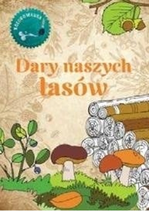 Изображение Multico Dary naszych lasów Kolorowanka