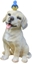 Picture of DECORATION DOG WITH BIRD 20.5X18.5X32CM
