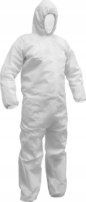 Изображение Dedra Kombinezon malarski rozm. L