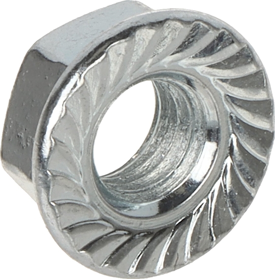 Изображение Dedra NAKRTKA SZECIOKTNA Z KONIERZEM NK-M8/KL-8