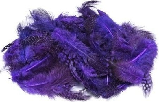 Picture of Dekoracja witeczna BREWIS Piórka nakrapiane fioletowy 3g
