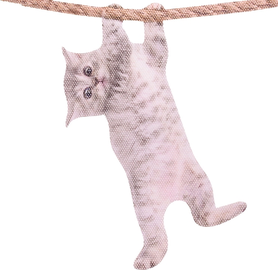 Picture of Dekoracja witeczna ThumbsUp! ThumbsUp! Fenstersticker "Katze"