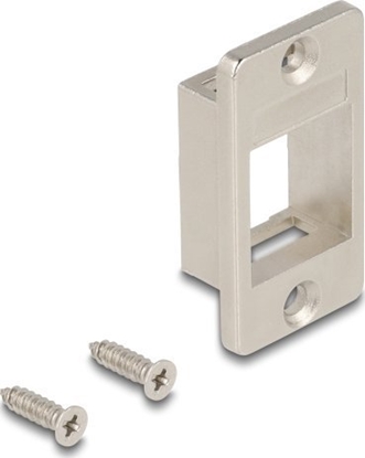 Picture of Delock Keystone Holder for cases conical