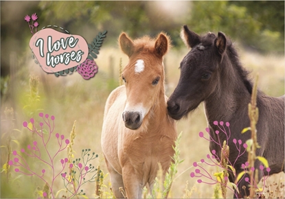 Picture of Derform PODKLAD NA BIURKO KART OKLEJ 345X495 KONIE DERF