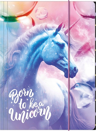 Picture of Derform TECZKA Z GUMKA PAP A4 JEDNOROZEC 15 DERF 1/10