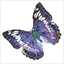 Picture of DIAMOND DOTZ ADULTS FLUTTER BY MAUVE