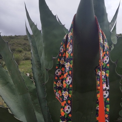 Изображение Dingo DINGO SMYCZ REG. CITY CHIAPAS  2,0 x 220cm