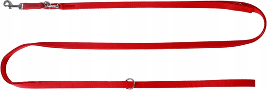 Изображение Dingo DINGO SMYCZ TAMA REG. 1,6cm / 2 - 4m     CZERWONA