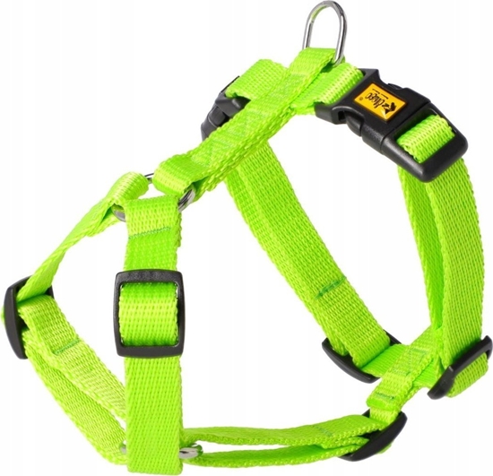 Picture of Dingo DINGO SZELKI ENERGY GUARD 2,0/38-70cm     ZIELONE