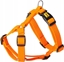 Изображение Dingo DINGO SZELKI ENERGY GUARD 3,0/55-100cm    POMARACZOWE
