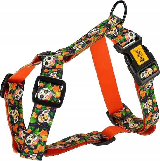 Picture of Dingo DINGO SZELKI GUARD CITY CHIAPAS  M 3,0 x 38-70cm