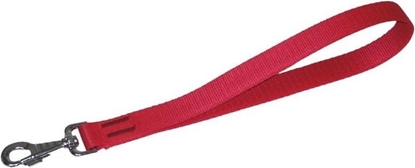 Picture of Dingo Rczka z tamy polipropylenowej 2.5/40cm Czerwona (10610)